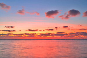 iʐ^pl V vuCl̒ 04 CeA zv炸 Ǌ| Ǐ ͗lւ ͋C v[g Mtg i ԗ j  Vz z a LO Tkns-13-M25