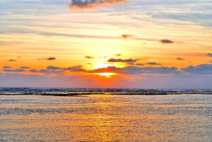 iʐ^|X^[ V vuCl̒ 10 CeA v[g Mtg j JX J  Vz oY a w  l AE LO Tkns-35-A