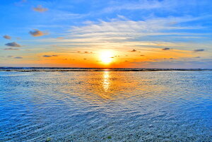 iʐ^|X^[ V vuCl̒ 11 CeA v[g Mtg j JX J  Vz oY a w  l AE LO Tkns-36-A