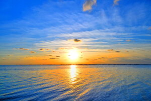 iʐ^pl 15%off V vuCl̒ 17 厩R  ₵  EH[fR A[gpl fBXvC CeA Ǐ Ǌ| zv炸 ͗lւ ͋C 