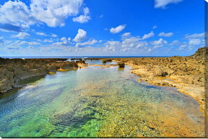 iʐ^pl V ݂ǂ΂鉖c 24 ʉ摜 A[gpl OtBbNA[g EH[fR ₵  _ CeA Ǐ Ǌ| zv炸 ͗lւ ͋C 