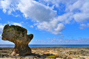 iʐ^|X^[ V ̖W 13 CeA v[g Mtg j JX J  Vz oY a w  l AE LO Tkns-47-A