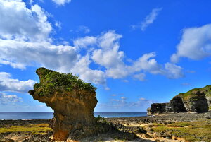 ���i�ʐ^�p�l�� ���V�� ���̖�W 16 �E�H�[���f�R �C���e���A �͗l�ւ� ���͋C��胊�r���O �I�t�B�X �v���[���g �M�t�g �����i �ԗ� ���j�� ���� �V�z �����z�� �a���� �L�O�� Tkns-28-M30