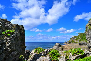 iʐ^pl V ̖W 18 厩R  ₵  EH[fR A[gpl fBXvC CeA Ǐ Ǌ| zv炸 ͗lւ ͋C  rO ItB