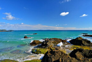 iʐ^pl V vlC 06 A[gpl OtBbN fBXvC EH[fR CeA zv炸 Ǌ| Ǐ ͗lւ ͋C  rO _CjO ItBX 