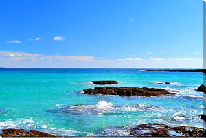 iʐ^pl V vlC 12 ʉ摜 CeA zv炸 Ǌ| Ǐ ͗lւ ͋C v[g Mtg i ԗ j  Vz z a LO Tkns-31-