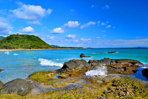 iʐ^pl V vlC 13 A[gpl OtBbN fBXvC EH[fR CeA zv炸 Ǌ| Ǐ ͗lւ ͋C  rO _CjO ItBX 