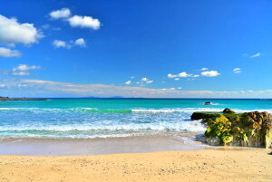 iʐ^|X^[ V vlC 15 CeA A[g|X^[ OtBbN EH[fR ͗lւ ͋C  ItBX r[ rO _CjO Tkns-56-A