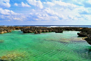 iʐ^|X^[ E Vc ÓS iJ~Jecj 08 A[g|X^[ OtBbN CeA EH[fR Ǐ Ǌ| ^yXg[  ͗lւ ͋C rO ItB