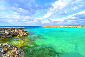 iʐ^pl E XMr[` 06 CeA fBXvC OtBbN A[gpl ₵ IV _ Ǌ| Ǐ z炸 ͗lւ ͋C  rO _Cj