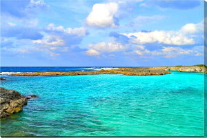 iʐ^|X^[ E XMr[` 07 CeA A[g|X^[ OtBbN EH[fR Ǌ| Ǐ ͗lւ ͋C  rO ItBX  Kkjm-13-A