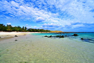 iʐ^pl E gr  06 A[gpl OtBbN CeA zv炸 ͗lւ ͋C  rO _CjO ItBX  r[ Kkjm-12-M30