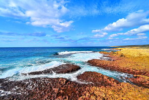 iʐ^|X^[ E r؊C 03 CeA v[g Mtg j LO  oY a w  l AE Kkjm-18-A