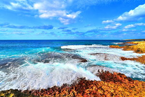 iʐ^|X^[ E r؊C 04 CeA v[g Mtg j LO  oY a w  l AE Kkjm-19-A