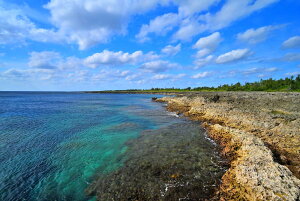 iʐ^pl E r؍ 01 CeA fBXvC A[gpl Ǐ Ǌ| zv炸 ͗lւ ͋C   rO ItBX r[ Kkjm-09-M25