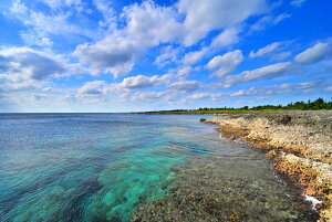 iʐ^pl E r؍ 02 CeA fBXvC A[gpl Ǐ Ǌ| zv炸 ͗lւ ͋C   rO ItBX r[ Kkjm-13-M30