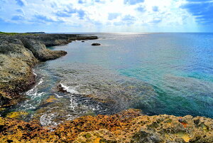 iʐ^pl E r؍ 03 CeA fBXvC A[gpl v[g Mtg i ԗ j  Vz z a LO Nj ̎vo Kkjm-06-B2