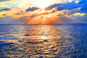 iʐ^pl E r؍ [ 01 A[gpl CeA Ǐ Ǌ| zv炸 ͗lւ ͋C  rO ItBX r[ v[g Mtg i ԗ j  V