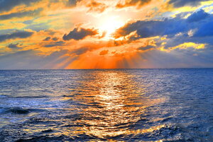 iʐ^|X^[ E r؍ [ 02 A[g|X^[ OtBbN CeA EH[fR Kkjm-22-A