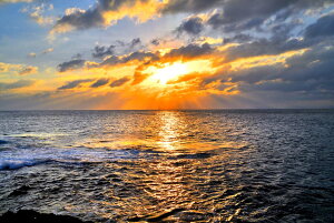 iʐ^|X^[ E r؍ [ 03 A[g|X^[ OtBbN CeA EH[fR Kkjm-23-A