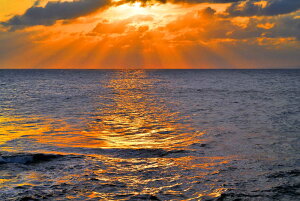 iʐ^pl E r؍ [ 04 A[gpl OtBbN CeA IV v[g Mtg i ԗ j  Vz z a LO Nj Kkjm-11-B2