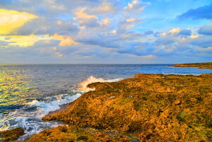 iʐ^pl E r؍ [ 07 A[gpl OtBbN CeA IV v[g Mtg i ԗ j  Vz z a LO Nj Kkjm-12-B2