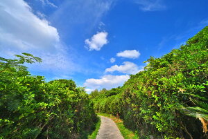 iʐ^pl E r؁EV 02 A[gpl OtBbN CeA IV v[g Mtg i ԗ j  Vz z a LO Nj Kkjm-14-B2