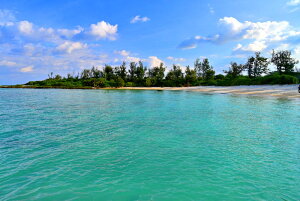 iʐ^|X^[ E riCPWjC 01 A[g|X^[ OtBbN CeA EH[fR Kkjm-28-A