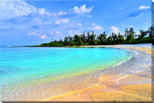 iʐ^pl E rC iCPWCj03 ʉ摜 fBXvC OtBbN A[gpl ₵ IV _ CeA v[g Mtg i ԗ j