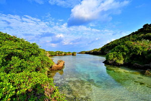 iʐ^pl E FC 02 X 厩R u  A[gpl OtBbN CeA zv炸 ͗lւ ͋C rO _CjO ItBX  r[ Kkjm-15-B2