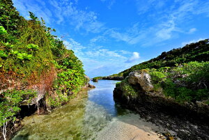 iʐ^pl E FC 05 厩R u  ₵ A[gpl OtBbN CeA IV v[g Mtg i ԗ j  Vz z a LO 