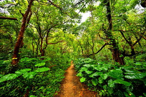 iʐ^|X^[ 哇 n[gbNւ̓ 04 CeA ʐ^ |X^[ v[g Mtg i ԗ j  Vz z a LO Amo-02-A