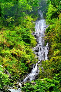 iʐ^|X^[ 哇 tiM̑ 02 A[gpl OtBbN {^jJA[g CeA EH[fR Amo-05-A