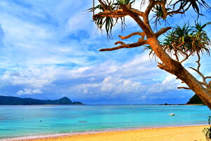 iʐ^|X^[ 哇 ό 02 A[gpl OtBbN {^jJA[g CeA EH[fR Amo-09-A