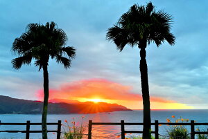 iʐ^pl 哇 lCl [ 02 EH[fR A[gpl CeA ͗lւ ͋C rO ItBX v[g Mtg i ԗ j  Vz z a