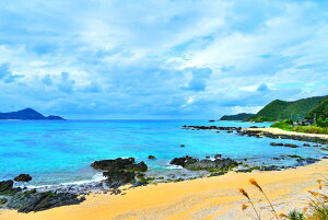 iʐ^|X^[ 哇 ό 04 CeA fBXvC OtBbN A[gpl ₵ IV _  Ǌ| Ǐ z炸 ͗lւ ͋C rO _