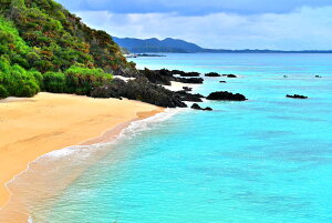 iʐ^|X^[ 哇 ό 03 CeA v[g Mtg i ԗ j  Vz z a LO Amo-10-A