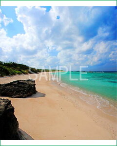  gƊԓ̊C 02 4 iʐ^ 4-233