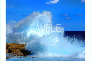 iʐ^|X^[  k哌̊C ̐E osp-k237