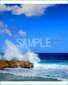  k哌̊C 4 iʐ^ 4-238