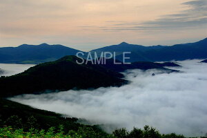 kCg} _C 4W iʐ^ 4W-278