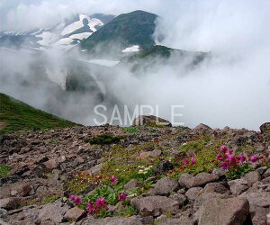 kC R _ƍRA w_oR 4 iʐ^ 4-291