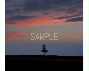 kC l [ƈ{̖ 4 iʐ^ 4-319