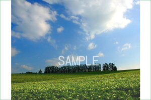 iʐ^|X^[ kC l }ChZűu Ǐ i Ǌ|G rO ItBX p f[ osp-345