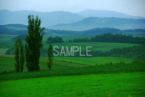 kC l 4W iʐ^ 4W-371