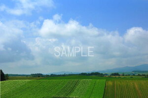 iʐ^|X^[ kC l R𖞋ik̑n osp-372