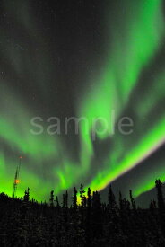 オーロラ アラスカ フェアバンクス 4切W 風景写真 4W-394