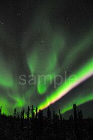 風景写真ポスター アラスカ オーロラ 地球の神秘 幻想的 癒し pst-395