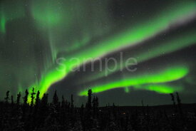 風景写真ポスター アラスカ オーロラ 地球の神秘 幻想的な景色が心を癒してくれる　pst-400