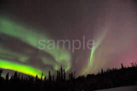 風景写真ポスター アラスカ オーロラ 空から降り注ぐ奇跡 神秘の光に包まれる瞬間 pst-416